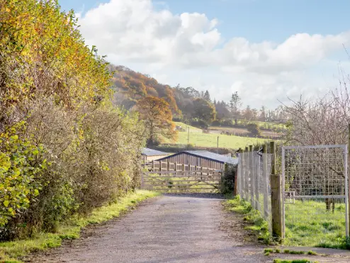 Country road leading to farm buildings