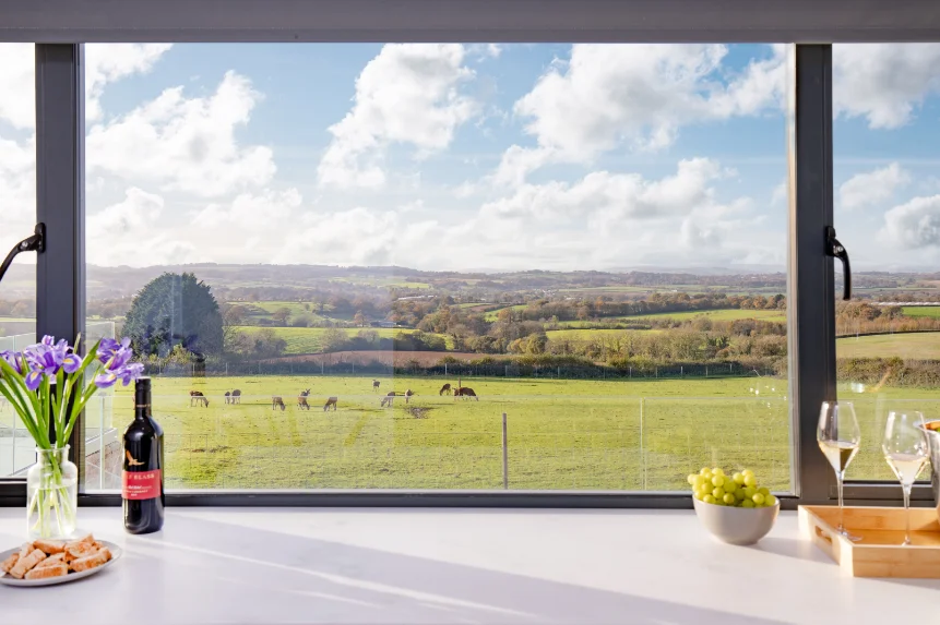 View from Deer View kitchen window overlooking deer farm and local countryside.