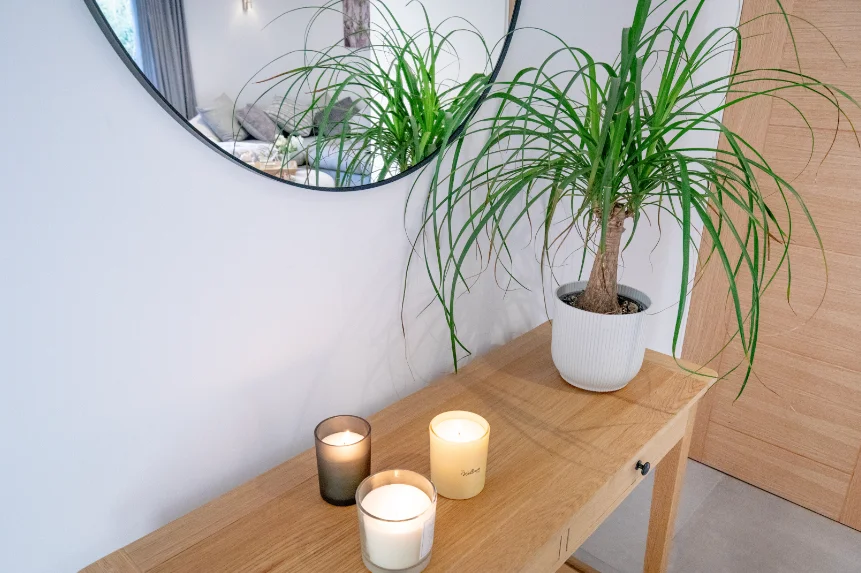 Light wood console table with candles and pot plant in front of a circular mirror