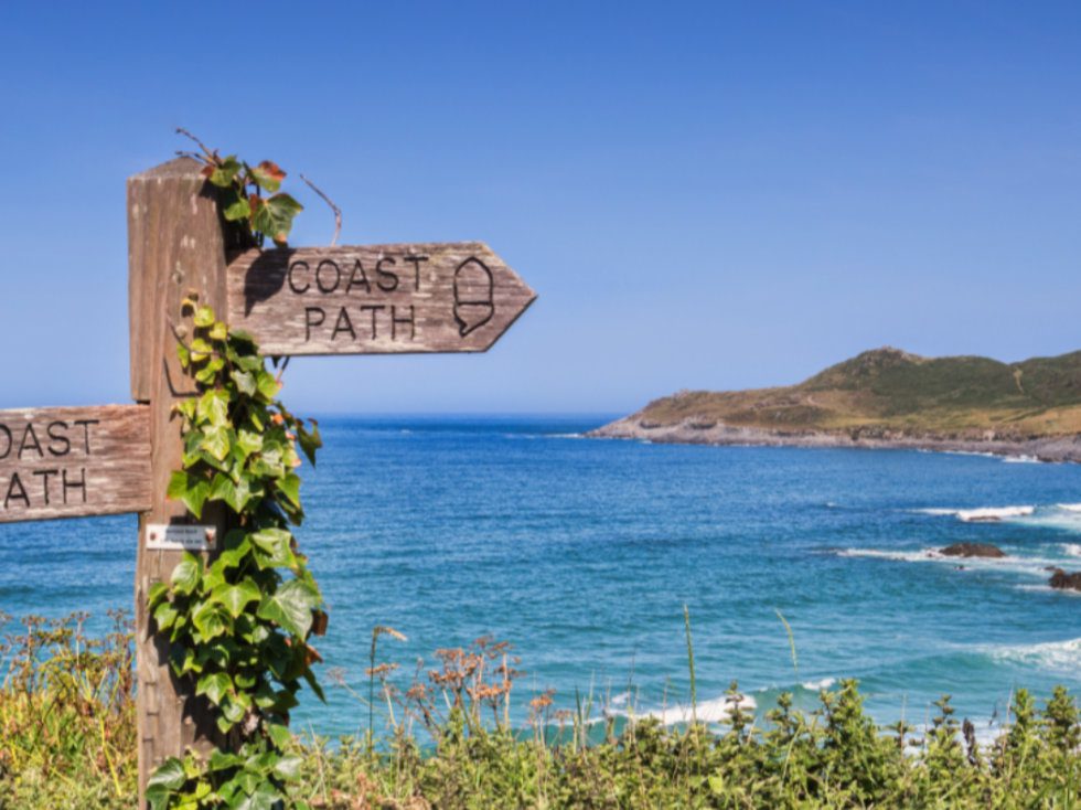 Coast Path signs partly overgrown with ivy in front of a beach and headland.